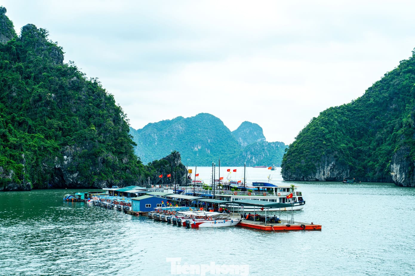 Bahía de Ha Long